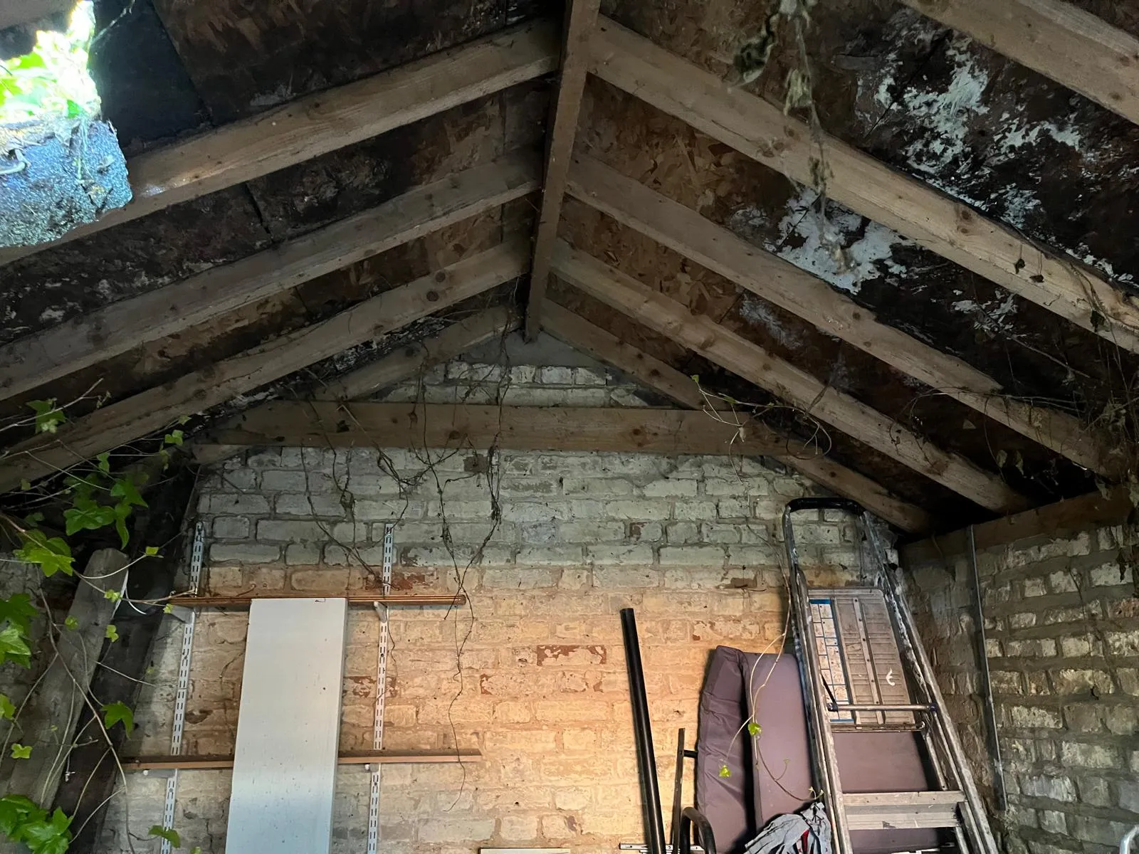 Frome Garage Conversion in Frome by Aspect Builds — photo 5